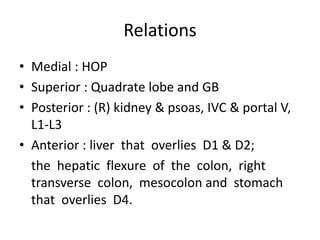 Relations
• Medial : HOP
• Superior : Quadrate lobe and GB
• Posterior : (R) kidney & psoas, IVC & portal V,
L1-L3
• Anterior : liver that overlies D1 & D2;
the hepatic flexure of the colon, right
transverse colon, mesocolon and stomach
that overlies D4.
 