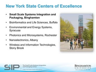 New York State Centers of ExcellenceSmall Scale Systems Integration and Packaging, BinghamtonBioinformatics and Life Sciences, BuffaloEnvironmental and Energy Systems, SyracusePhotonics and Microsystems, RochesterNanoelectronics, AlbanyWireless and Information Technologies, Stony Brook