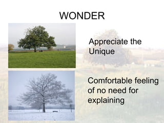 WONDER

             Appreciate the
             Unique


            Comfortable feeling
            of no need for
            explaining
 Herman Wittockx
 