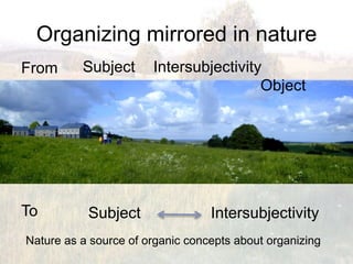 Organizing mirrored in nature
From      Subject      Intersubjectivity
                                        Object




To         Subject                Intersubjectivity
Nature as a source of organic concepts about organizing
 