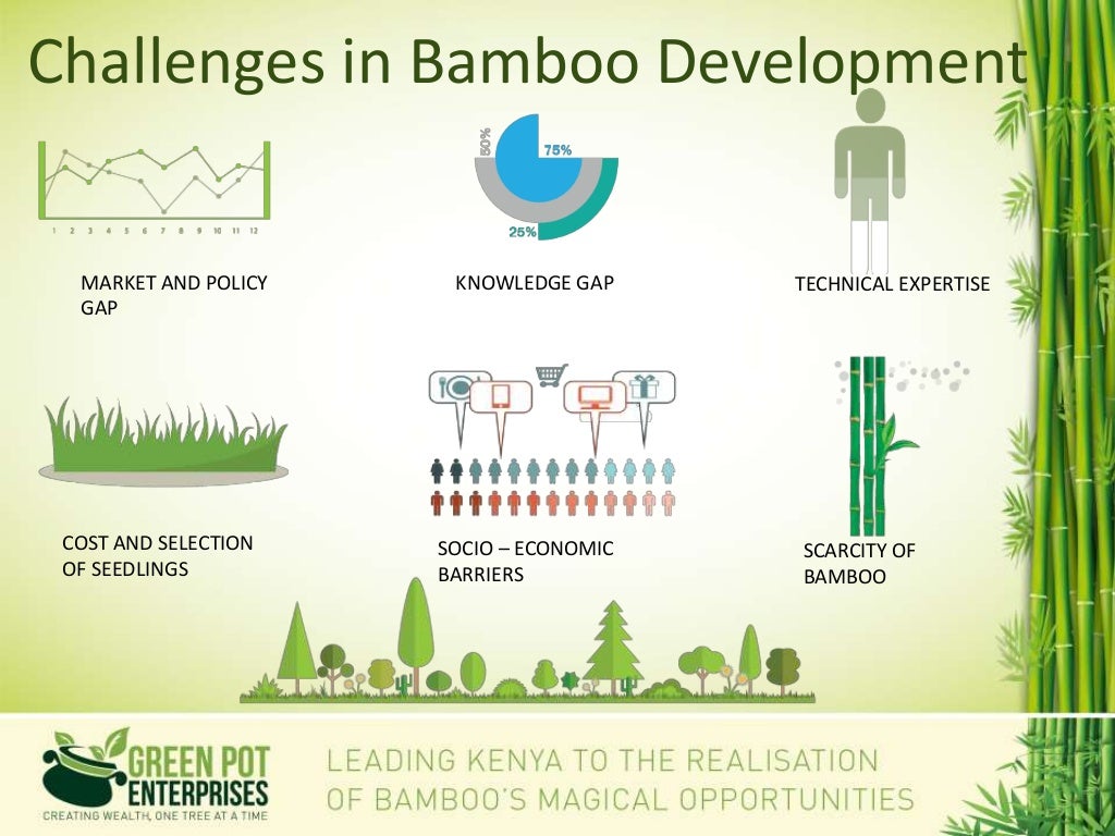 Bamboo Development The GreenPot Way