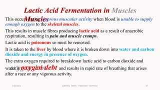 S3 RESPIRATION By TR. OKION. New lower secondary school curriculum | PPTX