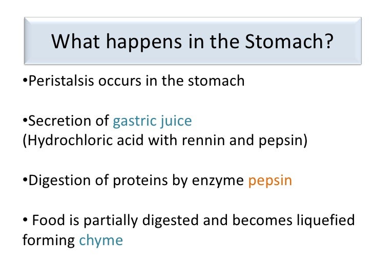 pepsin and protein essay Methods: soy protein hydrolysate was enzymatically produced using pepsin, with e/s (enzyme to substrate ratio) of 05% (250 u/mg) and hydrolysis time of 4h afterwards, the sph effects on murine spleen lymphocyte proliferation, and peritoneal macrophage phagocytosis were investigated in vitro. pepsin and protein essay Methods: soy protein hydrolysate was enzymatically produced using pepsin, with e/s (enzyme to substrate ratio) of 05% (250 u/mg) and hydrolysis time of 4h afterwards, the sph effects on murine spleen lymphocyte proliferation, and peritoneal macrophage phagocytosis were investigated in vitro.