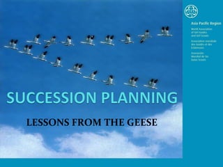 LESSONS FROM THE GEESE 