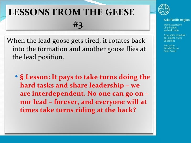 Lessons from the Geese