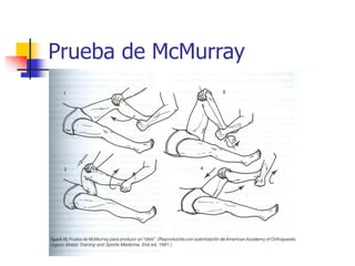 lesiones-de-la-rodilla-pdf