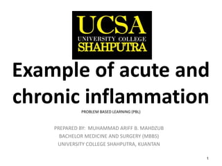 1
Example of acute and
chronic inflammationPROBLEM BASED LEARNING (PBL)
PREPARED BY: MUHAMMAD ARIFF B. MAHDZUB
BACHELOR MEDICINE AND SURGERY (MBBS)
UNIVERSITY COLLEGE SHAHPUTRA, KUANTAN
 