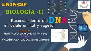 Reconocimiento del
en célula animal y vegetal
Magíster:
MONTALVO CHACON, Nil Williams
Alumna:
VALDERRAMA CAJO,Milagros Xiomara
DNA:
BIOLOGÍA -I:
EN1N5SP
 