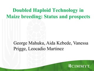 Doubled Haploid Technology in
Maize breeding: Status and prospects




   George Mahuku, Aida Kebede, Vanessa
   Prigge, Leocadio Martinez
 