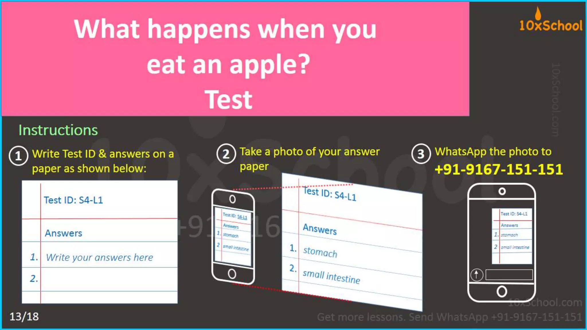 What happens when you eat an apple?  Learn about digestive system.  A Lesson from 10xSchool.com