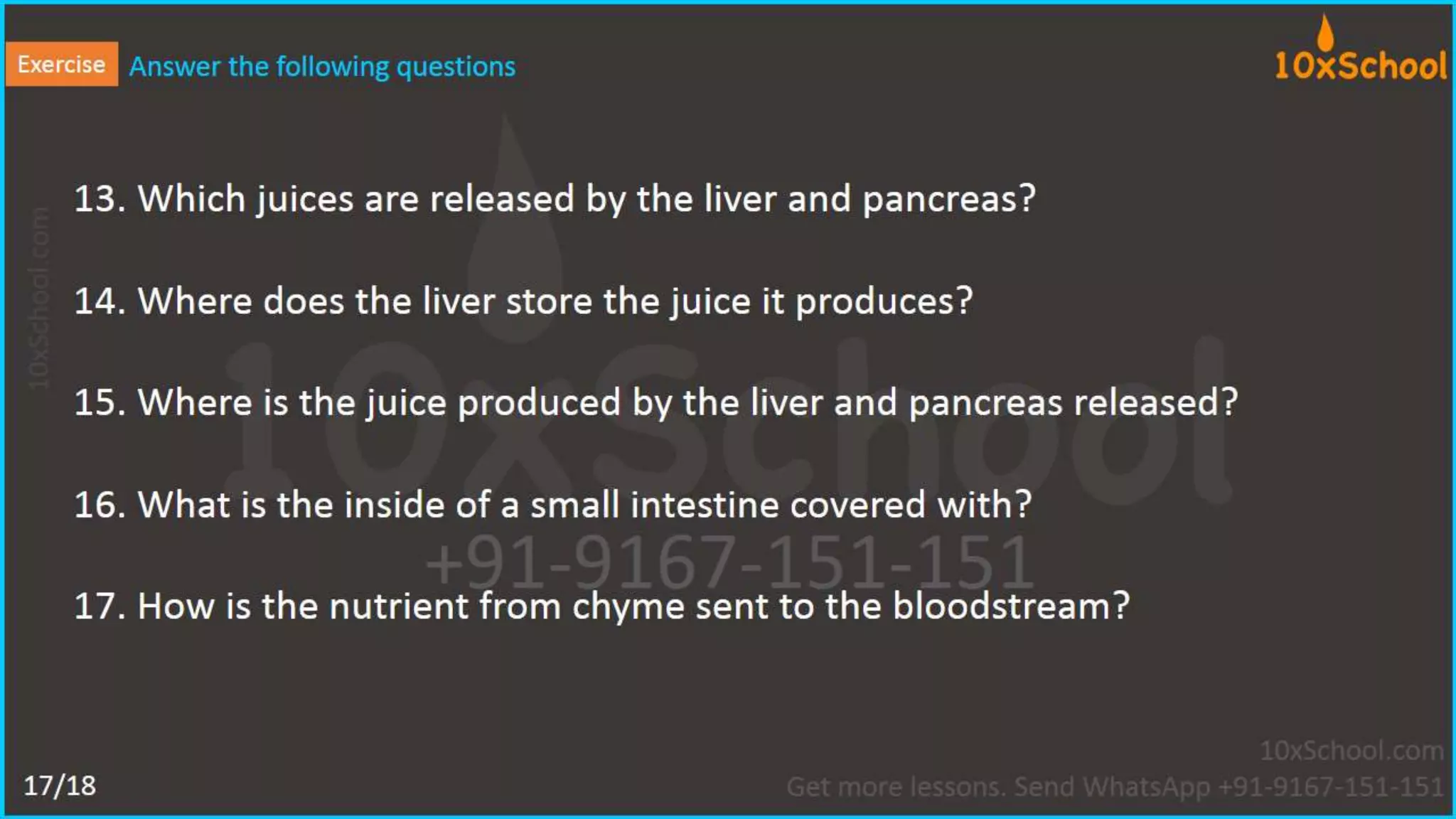 What happens when you eat an apple?  Learn about digestive system.  A Lesson from 10xSchool.com