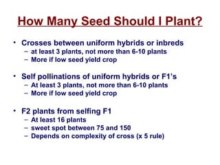 S4 plant breeding ii mazourek | PPT