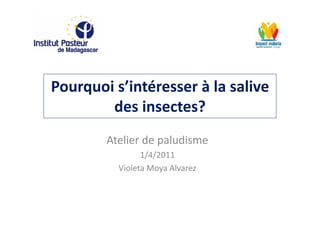 Pourquoi s’intéresser à la salive
des insectes?
Atelier de paludisme
1/4/2011
Violeta Moya Alvarez
 