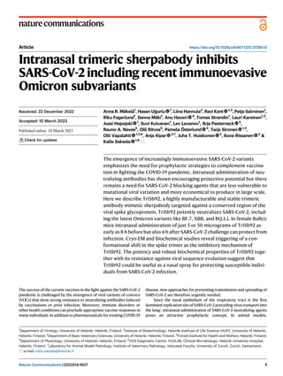 Article https://doi.org/10.1038/s41467-023-37290-6
Intranasal trimeric sherpabody inhibits
SARS-CoV-2 including recent immunoevasive
Omicron subvariants
Anna R. Mäkelä1
, Hasan Uğurlu 1
, Liina Hannula2
, Ravi Kant 1,3
, Petja Salminen1
,
Riku Fagerlund1
, Sanna Mäki1
, Anu Haveri 4
, Tomas Strandin1
, Lauri Kareinen1,3
,
Jussi Hepojoki 1
, Suvi Kuivanen1
, Lev Levanov1
, Arja Pasternack 5
,
Rauno A. Naves5
, Olli Ritvos5
, Pamela Österlund 4
, Tarja Sironen 1,3
,
Olli Vapalahti 1,3,6
, Anja Kipar 3,7
, Juha T. Huiskonen 2
, Ilona Rissanen 2
&
Kalle Saksela 1,6
The emergence of increasingly immunoevasive SARS-CoV-2 variants
emphasizes the need for prophylactic strategies to complement vaccina-
tion in ﬁghting the COVID-19 pandemic. Intranasal administration of neu-
tralizing antibodies has shown encouraging protective potential but there
remains a need for SARS-CoV-2 blocking agents that are less vulnerable to
mutational viral variation and more economical to produce in large scale.
Here we describe TriSb92, a highly manufacturable and stable trimeric
antibody-mimetic sherpabody targeted against a conserved region of the
viral spike glycoprotein. TriSb92 potently neutralizes SARS-CoV-2, includ-
ing the latest Omicron variants like BF.7, XBB, and BQ.1.1. In female Balb/c
mice intranasal administration of just 5 or 50 micrograms of TriSb92 as
early as 8 h before but also 4 h after SARS-CoV-2 challenge can protect from
infection. Cryo-EM and biochemical studies reveal triggering of a con-
formational shift in the spike trimer as the inhibitory mechanism of
TriSb92. The potency and robust biochemical properties of TriSb92 toge-
ther with its resistance against viral sequence evolution suggest that
TriSb92 could be useful as a nasal spray for protecting susceptible indivi-
duals from SARS-CoV-2 infection.
The success of the current vaccines in the ﬁght against the SARS-CoV-2
pandemic is challenged by the emergence of viral variants of concern
(VOCs) that show strong resistance to neutralizing antibodies induced
by vaccinations or prior infection. Moreover, immune disorders or
other health conditions can preclude appropriate vaccine responses in
many individuals. In addition to pharmaceuticals for treating COVID-19
disease, new approaches for preventing transmission and spreading of
SARS-CoV-2 are therefore urgently needed.
Since the nasal epithelium of the respiratory tract is the ﬁrst
dominant replication site of SARS-CoV-2 preceding virus transport into
the lung1
, intranasal administration of SARS-CoV-2 neutralizing agents
poses an attractive prophylactic concept. In animal models,
Received: 22 December 2022
Accepted: 10 March 2023
Check for updates
1
Department of Virology, University of Helsinki, Helsinki, Finland. 2
Institute of Biotechnology, Helsinki Institute of Life Science HiLIFE, University of Helsinki,
Helsinki, Finland. 3
Department of Basic Veterinary Sciences, University of Helsinki, Helsinki, Finland. 4
Finnish Institute for Health and Welfare, Helsinki, Finland.
5
Department of Physiology, University of Helsinki, Helsinki, Finland. 6
HUS Diagnostic Centre, HUSLAB, Clinical Microbiology, Helsinki University Hospital,
Helsinki, Finland. 7
Laboratory for Animal Model Pathology, Institute of Veterinary Pathology, Vetsuisse Faculty, University of Zurich, Zurich, Switzerland.
e-mail: kalle.saksela@helsinki.ﬁ
Nature Communications| (2023)14:1637 1
1234567890():,;
1234567890():,;
 