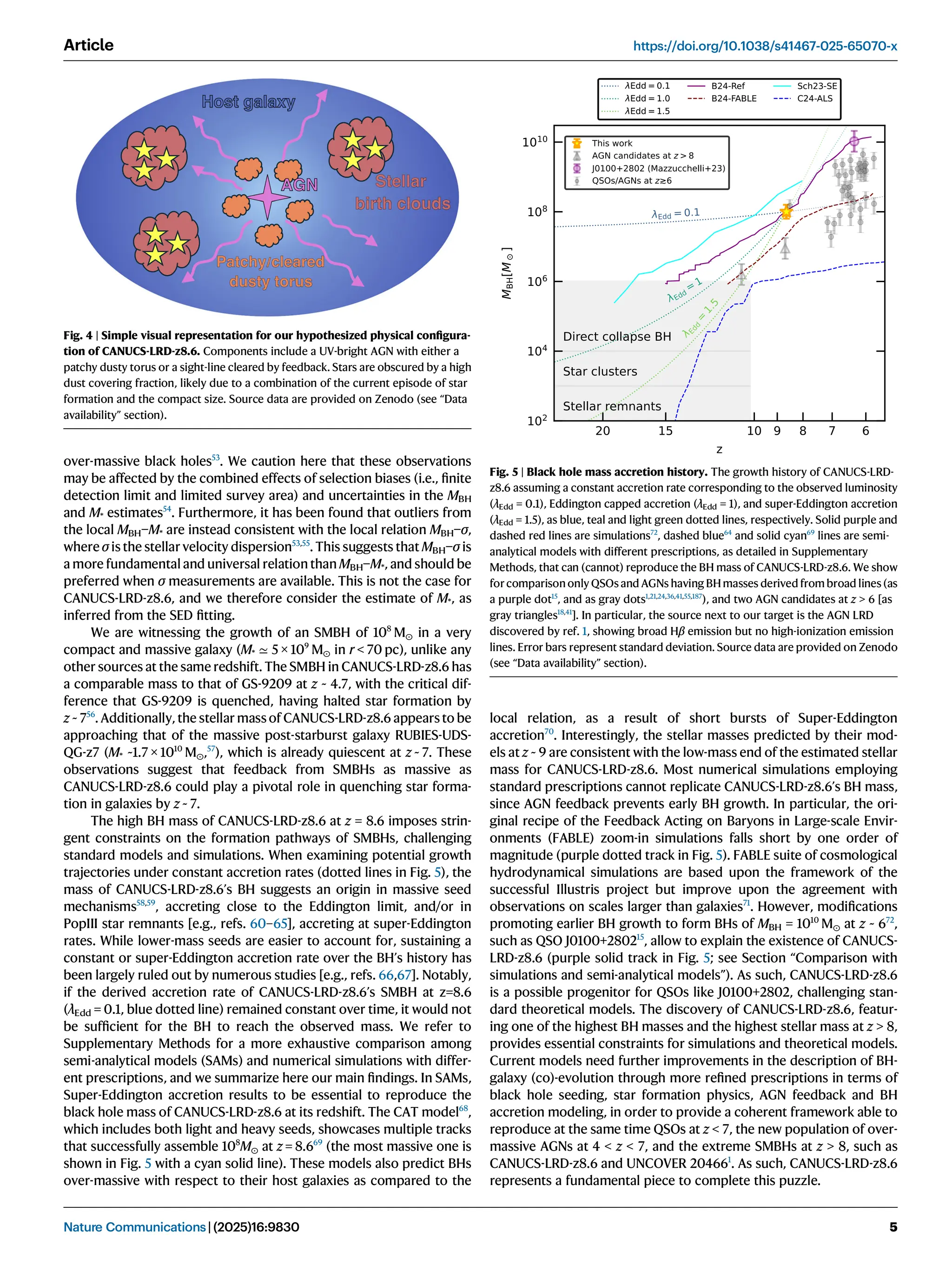over-massive black holes53
. We caution here that these observations
may be affected by the combined effects of selection biases (i.e., ﬁnite
detection limit and limited survey area) and uncertainties in the MBH
and M* estimates54
. Furthermore, it has been found that outliers from
the local MBH−M* are instead consistent with the local relation MBH−σ,
where σ is the stellar velocity dispersion53,55
. This suggests that MBH−σ is
a more fundamental and universal relation than MBH−M*, and should be
preferred when σ measurements are available. This is not the case for
CANUCS-LRD-z8.6, and we therefore consider the estimate of M*, as
inferred from the SED ﬁtting.
We are witnessing the growth of an SMBH of 108
M⊙ in a very
compact and massive galaxy (M* ≃ 5 × 109
M⊙ in r  70 pc), unlike any
other sources at the same redshift. The SMBH in CANUCS-LRD-z8.6 has
a comparable mass to that of GS-9209 at z ~ 4.7, with the critical dif-
ference that GS-9209 is quenched, having halted star formation by
z ~ 756
. Additionally, the stellar massof CANUCS-LRD-z8.6 appearsto be
approaching that of the massive post-starburst galaxy RUBIES-UDS-
QG-z7 (M* ~1.7 × 1010
M⊙,57
), which is already quiescent at z ~ 7. These
observations suggest that feedback from SMBHs as massive as
CANUCS-LRD-z8.6 could play a pivotal role in quenching star forma-
tion in galaxies by z ~ 7.
The high BH mass of CANUCS-LRD-z8.6 at z = 8.6 imposes strin-
gent constraints on the formation pathways of SMBHs, challenging
standard models and simulations. When examining potential growth
trajectories under constant accretion rates (dotted lines in Fig. 5), the
mass of CANUCS-LRD-z8.6’s BH suggests an origin in massive seed
mechanisms58,59
, accreting close to the Eddington limit, and/or in
PopIII star remnants [e.g., refs. 60–65], accreting at super-Eddington
rates. While lower-mass seeds are easier to account for, sustaining a
constant or super-Eddington accretion rate over the BH’s history has
been largely ruled out by numerous studies [e.g., refs. 66,67]. Notably,
if the derived accretion rate of CANUCS-LRD-z8.6’s SMBH at z=8.6
(λEdd = 0.1, blue dotted line) remained constant over time, it would not
be sufﬁcient for the BH to reach the observed mass. We refer to
Supplementary Methods for a more exhaustive comparison among
semi-analytical models (SAMs) and numerical simulations with differ-
ent prescriptions, and we summarize here our main ﬁndings. In SAMs,
Super-Eddington accretion results to be essential to reproduce the
black hole mass of CANUCS-LRD-z8.6 at its redshift. The CAT model68
,
which includes both light and heavy seeds, showcases multiple tracks
that successfully assemble 108
M⊙ at z = 8.669
(the most massive one is
shown in Fig. 5 with a cyan solid line). These models also predict BHs
over-massive with respect to their host galaxies as compared to the
local relation, as a result of short bursts of Super-Eddington
accretion70
. Interestingly, the stellar masses predicted by their mod-
els at z ~ 9 are consistent with the low-mass end of the estimated stellar
mass for CANUCS-LRD-z8.6. Most numerical simulations employing
standard prescriptions cannot replicate CANUCS-LRD-z8.6’s BH mass,
since AGN feedback prevents early BH growth. In particular, the ori-
ginal recipe of the Feedback Acting on Baryons in Large-scale Envir-
onments (FABLE) zoom-in simulations falls short by one order of
magnitude (purple dotted track in Fig. 5). FABLE suite of cosmological
hydrodynamical simulations are based upon the framework of the
successful Illustris project but improve upon the agreement with
observations on scales larger than galaxies71
. However, modiﬁcations
promoting earlier BH growth to form BHs of MBH = 1010
M⊙ at z ~ 672
,
such as QSO J0100+280215
, allow to explain the existence of CANUCS-
LRD-z8.6 (purple solid track in Fig. 5; see Section “Comparison with
simulations and semi-analytical models”). As such, CANUCS-LRD-z8.6
is a possible progenitor for QSOs like J0100+2802, challenging stan-
dard theoretical models. The discovery of CANUCS-LRD-z8.6, featur-
ing one of the highest BH masses and the highest stellar mass at z  8,
provides essential constraints for simulations and theoretical models.
Current models need further improvements in the description of BH-
galaxy (co)-evolution through more reﬁned prescriptions in terms of
black hole seeding, star formation physics, AGN feedback and BH
accretion modeling, in order to provide a coherent framework able to
reproduce at the same time QSOs at z  7, the new population of over-
massive AGNs at 4  z  7, and the extreme SMBHs at z  8, such as
CANUCS-LRD-z8.6 and UNCOVER 204661
. As such, CANUCS-LRD-z8.6
represents a fundamental piece to complete this puzzle.
Fig. 5 | Black hole mass accretion history. The growth history of CANUCS-LRD-
z8.6 assuming a constant accretion rate corresponding to the observed luminosity
(λEdd = 0.1), Eddington capped accretion (λEdd = 1), and super-Eddington accretion
(λEdd = 1.5), as blue, teal and light green dotted lines, respectively. Solid purple and
dashed red lines are simulations72
, dashed blue64
and solid cyan69
lines are semi-
analytical models with different prescriptions, as detailed in Supplementary
Methods, that can (cannot) reproduce the BH mass of CANUCS-LRD-z8.6. We show
for comparison only QSOs and AGNs having BHmasses derived from broad lines (as
a purple dot15
, and as gray dots1,21,24,36,41,55,187
), and two AGN candidates at z  6 [as
gray triangles18,41
]. In particular, the source next to our target is the AGN LRD
discovered by ref. 1, showing broad Hβ emission but no high-ionization emission
lines. Error bars represent standard deviation. Source data are provided on Zenodo
(see “Data availability” section).
Fig. 4 | Simple visual representation for our hypothesized physical conﬁgura-
tion of CANUCS-LRD-z8.6. Components include a UV-bright AGN with either a
patchy dusty torus or a sight-line cleared by feedback. Stars are obscured by a high
dust covering fraction, likely due to a combination of the current episode of star
formation and the compact size. Source data are provided on Zenodo (see “Data
availability” section).
Article https://doi.org/10.1038/s41467-025-65070-x
Nature Communications| (2025)16:9830 5
 