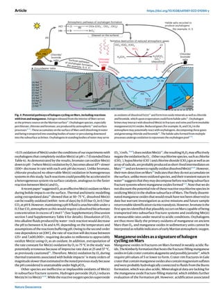 Formation of manganese oxides on early Mars due to active halogen