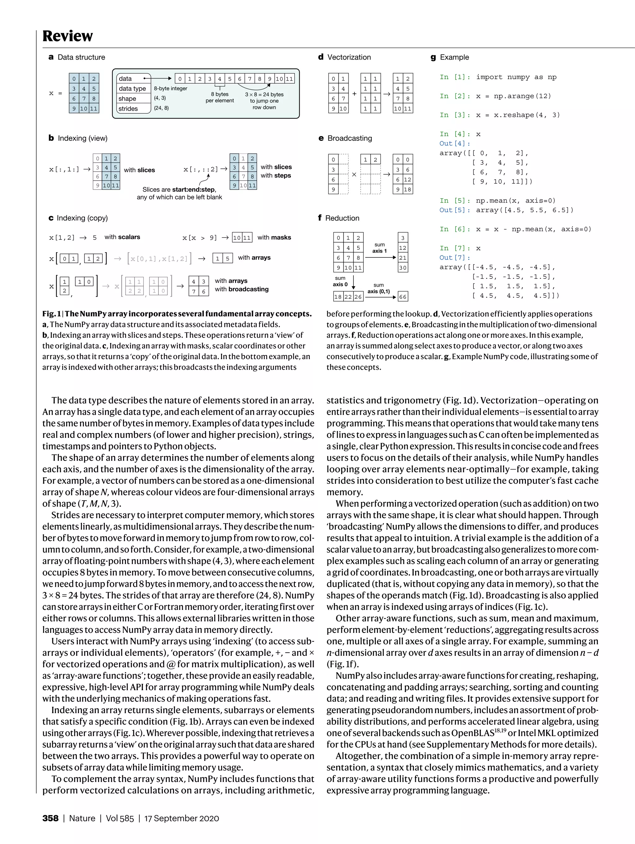 358 | Nature | Vol 585 | 17 September 2020
Review
The data type describes the nature of elements stored in an array.
Anarrayhasasingledatatype,andeachelementofanarrayoccupies
thesamenumberofbytesinmemory.Examplesofdatatypesinclude
real and complex numbers (of lower and higher precision), strings,
timestamps and pointers to Python objects.
The shape of an array determines the number of elements along
each axis, and the number of axes is the dimensionality of the array.
For example, a vector of numbers can be stored as a one-dimensional
array of shape N, whereas colour videos are four-dimensional arrays
of shape (T, M, N, 3).
Strides are necessary to interpret computer memory, which stores
elementslinearly,asmultidimensionalarrays.Theydescribethenum-
berofbytestomoveforwardinmemorytojumpfromrowtorow,col-
umntocolumn,andsoforth.Consider,forexample,atwo-dimensional
arrayoffloating-pointnumberswithshape(4, 3),whereeachelement
occupies 8 bytes in memory. To move between consecutive columns,
weneedtojumpforward8 bytesinmemory,andtoaccessthenextrow,
3 × 8 = 24 bytes. The strides of that array are therefore (24, 8). NumPy
canstorearraysineitherCorFortranmemoryorder,iteratingfirstover
either rows or columns. This allows external libraries written in those
languages to access NumPy array data in memory directly.
Users interact with NumPy arrays using ‘indexing’ (to access sub-
arrays or individual elements), ‘operators’ (for example, +, − and ×
for vectorized operations and @ for matrix multiplication), as well
as‘array-awarefunctions’;together,theseprovideaneasilyreadable,
expressive, high-level API for array programming while NumPy deals
with the underlying mechanics of making operations fast.
Indexing an array returns single elements, subarrays or elements
that satisfy a specific condition (Fig. 1b). Arrays can even be indexed
usingotherarrays(Fig. 1c).Whereverpossible,indexingthatretrievesa
subarrayreturnsa‘view’ontheoriginalarraysuchthatdataareshared
between the two arrays. This provides a powerful way to operate on
subsets of array data while limiting memory usage.
To complement the array syntax, NumPy includes functions that
perform vectorized calculations on arrays, including arithmetic,
statistics and trigonometry (Fig. 1d). Vectorization—operating on
entirearraysratherthantheirindividualelements—isessentialtoarray
programming.Thismeansthatoperationsthatwouldtakemanytens
oflinestoexpressinlanguagessuchasCcanoftenbeimplementedas
asingle,clearPythonexpression.Thisresultsinconcisecodeandfrees
users to focus on the details of their analysis, while NumPy handles
looping over array elements near-optimally—for example, taking
strides into consideration to best utilize the computer’s fast cache
memory.
Whenperformingavectorizedoperation(suchasaddition)ontwo
arrays with the same shape, it is clear what should happen. Through
‘broadcasting’ NumPy allows the dimensions to differ, and produces
results that appeal to intuition. A trivial example is the addition of a
scalarvaluetoanarray,butbroadcastingalsogeneralizestomorecom-
plex examples such as scaling each column of an array or generating
agridofcoordinates.Inbroadcasting,oneorbotharraysarevirtually
duplicated (that is, without copying any data in memory), so that the
shapes of the operands match (Fig. 1d). Broadcasting is also applied
when an array is indexed using arrays of indices (Fig. 1c).
Other array-aware functions, such as sum, mean and maximum,
performelement-by-element‘reductions’,aggregatingresultsacross
one, multiple or all axes of a single array. For example, summing an
n-dimensional array over d axes results in an array of dimension n − d
(Fig. 1f).
NumPyalsoincludesarray-awarefunctionsforcreating,reshaping,
concatenating and padding arrays; searching, sorting and counting
data; and reading and writing files. It provides extensive support for
generatingpseudorandomnumbers,includesanassortmentofprob-
ability distributions, and performs accelerated linear algebra, using
oneofseveralbackendssuchasOpenBLAS18,19
orIntelMKLoptimized
for the CPUs at hand (see Supplementary Methods for more details).
Altogether, the combination of a simple in-memory array repre-
sentation, a syntax that closely mimics mathematics, and a variety
of array-aware utility functions forms a productive and powerfully
expressive array programming language.
In [1]: import numpy as np
In [2]: x = np.arange(12)
In [3]: x = x.reshape(4, 3)
In [4]: x
Out[4]:
array([[ 0, 1, 2],
[ 3, 4, 5],
[ 6, 7, 8],
[ 9, 10, 11]])
In [5]: np.mean(x, axis=0)
Out[5]: array([4.5, 5.5, 6.5])
In [6]: x = x - np.mean(x, axis=0)
In [7]: x
Out[7]:
array([[-4.5, -4.5, -4.5],
[-1.5, -1.5, -1.5],
[ 1.5, 1.5, 1.5],
[ 4.5, 4.5, 4.5]])
a Data structure g Example
x =
0 1 2
3 4 5
6 7 8
9 10 11
data
data type
shape
strides
8-byte integer
(4, 3)
(24, 8)
1 2 3 4 5 6 70 8 9 10 11
8 bytes
per element
3 × 8 = 24 bytes
to jump one
row down
b Indexing (view)
10 1199
x[:,1:] → with slices
1 2
4 5
7 8
00
33
66
x[:,::2]→ with slices
with steps
0 2
3 5
6 8
9 11
0 11 2
3 44 5
6 77 8
9 1010 11
Slices are start:end:step,
any of which can be left blank
d Vectorization
+ →
0 1
3 4
6 7
9 10
1
1
1
1
1
1
1
1
1 2
4 5
7 8
10 11
e Broadcasting
×
3
6
0
9
1 2
→
0 0
3 6
6 12
9 18
f Reduction
0 1
3 4
6 7
9 10
2
5
8
11
3
12
21
30
sum
axis 1
18 22 26
sum
axis 0
66
sum
axis (0,1)
c Indexing (copy)
4 3
7 6
with arrays
with broadcasting
→x →
,2
1 1 0
x
,
1 1
2 2
1 0
1 0
x with arraysx[0,1],x[1,2] 1 5→ →0 1 1 2
,
x[x > 9] with masks10 11→→ 5 with scalarsx[1,2]
Fig.1|TheNumPyarrayincorporatesseveralfundamentalarrayconcepts.
a,TheNumPyarraydatastructureanditsassociatedmetadatafields.
b,Indexinganarraywithslicesandsteps.Theseoperationsreturna‘view’of
theoriginaldata.c,Indexinganarraywithmasks,scalarcoordinatesorother
arrays,sothatitreturnsa‘copy’oftheoriginaldata.Inthebottomexample,an
arrayisindexedwithotherarrays;thisbroadcaststheindexingarguments
beforeperformingthelookup.d,Vectorizationefficientlyappliesoperations
togroupsofelements.e,Broadcastinginthemultiplicationoftwo-dimensional
arrays.f,Reductionoperationsactalongoneormoreaxes.Inthisexample,
anarrayissummedalongselectaxestoproduceavector,oralongtwoaxes
consecutivelytoproduceascalar.g,ExampleNumPycode,illustratingsomeof
theseconcepts.
 