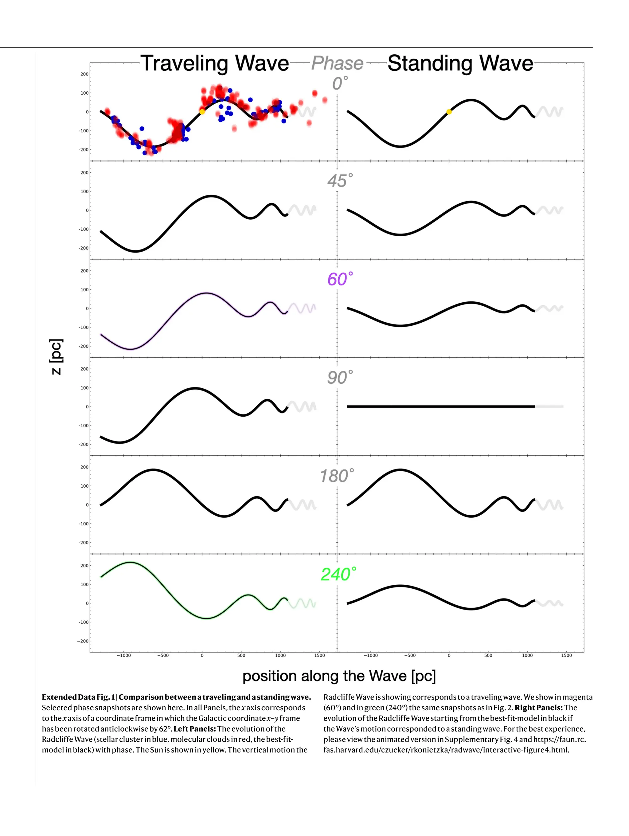 ExtendedDataFig.1|Comparisonbetweenatravelingandastandingwave.
Selectedphasesnapshotsareshownhere.InallPanels,thexaxiscorresponds
tothexaxisofacoordinateframeinwhichtheGalacticcoordinatex–yframe
hasbeenrotatedanticlockwiseby62°.LeftPanels: Theevolutionofthe
RadcliffeWave(stellarclusterinblue,molecularcloudsinred,thebest-fit-
modelinblack)withphase.TheSunisshowninyellow.Theverticalmotionthe
RadcliffeWaveisshowingcorrespondstoatravelingwave.Weshowinmagenta
(60°)andingreen(240°)thesamesnapshotsasinFig.2.RightPanels: The
evolutionoftheRadcliffeWavestartingfromthebest-fit-modelinblackif
theWave’smotioncorrespondedtoastandingwave.Forthebestexperience,
pleaseviewtheanimatedversioninSupplementaryFig.4andhttps://faun.rc.
fas.harvard.edu/czucker/rkonietzka/radwave/interactive-figure4.html.
 
