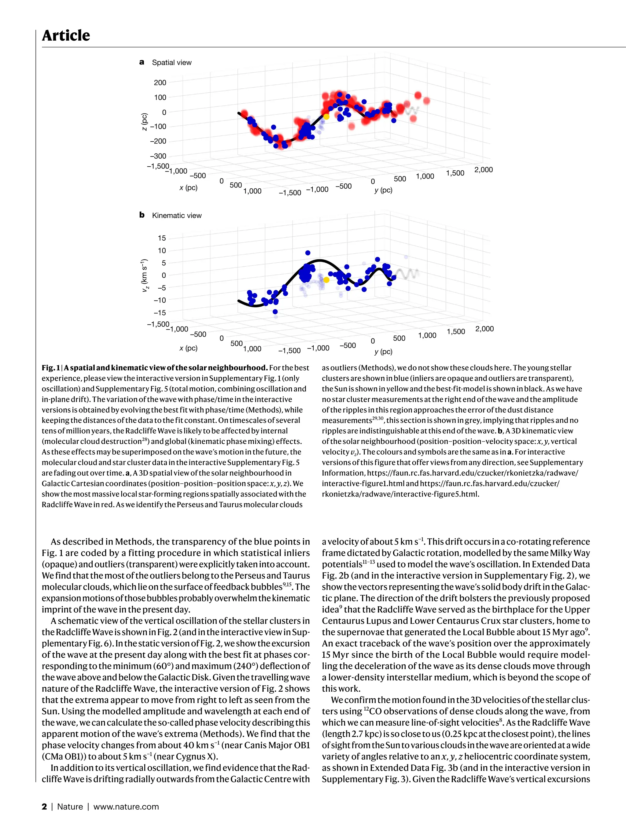 2 | Nature | www.nature.com
Article
As described in Methods, the transparency of the blue points in
Fig. 1 are coded by a fitting procedure in which statistical inliers
(opaque)andoutliers(transparent)wereexplicitlytakenintoaccount.
WefindthatthemostoftheoutliersbelongtothePerseusandTaurus
molecularclouds,whichlieonthesurfaceoffeedbackbubbles9,15
.The
expansionmotionsofthosebubblesprobablyoverwhelmthekinematic
imprint of the wave in the present day.
A schematic view of the vertical oscillation of the stellar clusters in
theRadcliffeWaveisshowninFig.2(andintheinteractiveviewinSup-
plementaryFig.6).InthestaticversionofFig.2,weshowtheexcursion
of the wave at the present day along with the best fit at phases cor-
respondingtotheminimum(60°)andmaximum(240°)deflectionof
thewaveaboveandbelowtheGalacticDisk.Giventhetravellingwave
nature of the Radcliffe Wave, the interactive version of Fig. 2 shows
that the extrema appear to move from right to left as seen from the
Sun. Using the modelled amplitude and wavelength at each end of
thewave,wecancalculatetheso-calledphasevelocitydescribingthis
apparent motion of the wave’s extrema (Methods). We find that the
phase velocity changes from about 40 km s−1
(near Canis Major OB1
(CMa OB1)) to about 5 km s−1
(near Cygnus X).
Inadditiontoitsverticaloscillation,wefindevidencethattheRad-
cliffeWaveisdriftingradiallyoutwardsfromtheGalacticCentrewith
avelocityofabout5 km s−1
.Thisdriftoccursinaco-rotatingreference
framedictatedbyGalacticrotation,modelledbythesameMilkyWay
potentials11–13
used to model the wave’s oscillation. In Extended Data
Fig. 2b (and in the interactive version in Supplementary Fig. 2), we
showthevectorsrepresentingthewave’ssolidbodydriftintheGalac-
tic plane. The direction of the drift bolsters the previously proposed
idea9
that the Radcliffe Wave served as the birthplace for the Upper
Centaurus Lupus and Lower Centaurus Crux star clusters, home to
the supernovae that generated the Local Bubble about 15 Myr ago9
.
An exact traceback of the wave’s position over the approximately
15 Myr since the birth of the Local Bubble would require model-
ling the deceleration of the wave as its dense clouds move through
a lower-density interstellar medium, which is beyond the scope of
this work.
Weconfirmthemotionfoundinthe3Dvelocitiesofthestellarclus-
ters using 12
CO observations of dense clouds along the wave, from
which we can measure line-of-sight velocities8
. As the Radcliffe Wave
(length2.7 kpc)issoclosetous(0.25 kpcattheclosestpoint),thelines
ofsightfromtheSuntovariouscloudsinthewaveareorientedatawide
variety of angles relative to an x, y, z heliocentric coordinate system,
as shown in Extended Data Fig. 3b (and in the interactive version in
Supplementary Fig. 3). Given the Radcliffe Wave’s vertical excursions
a Spatial view
b Kinematic view
–1,500
–1,000
–500
0
500
1,000 –1,000 –500
0 500 1,000 1,500 2,000
200
100
0
–100
–200
–300
15
10
5
0
–5
–10
–15
–1,500
x (pc) y (pc)
–1,500
–1,000
–500
0
500
1,000 –1,000 –500
0 500 1,000
1,500 2,000
–1,500
x (pc) y (pc)
z
(pc)
v
z
(km
s
–1
)
Fig.1|Aspatialandkinematicviewofthesolarneighbourhood.Forthebest
experience,pleaseviewtheinteractiveversioninSupplementaryFig.1(only
oscillation)andSupplementaryFig.5(totalmotion,combiningoscillationand
in-planedrift).Thevariationofthewavewithphase/timeintheinteractive
versionsisobtainedbyevolvingthebestfitwithphase/time(Methods),while
keepingthedistancesofthedatatothefitconstant.Ontimescalesofseveral
tensofmillionyears,theRadcliffeWaveislikelytobeaffectedbyinternal
(molecularcloud destruction28
)andglobal(kinematicphasemixing)effects.
Astheseeffectsmaybesuperimposedonthewave’smotioninthefuture,the
molecularcloudandstarclusterdataintheinteractiveSupplementaryFig.5
arefadingoutovertime.a,A3Dspatialviewofthesolarneighbourhoodin
Galactic Cartesiancoordinates (position–position–positionspace:x, y, z).We
showthemostmassivelocalstar-formingregionsspatiallyassociatedwiththe
RadcliffeWaveinred.AsweidentifythePerseusandTaurusmolecularclouds
asoutliers(Methods),wedonotshowthesecloudshere.Theyoungstellar
clustersareshowninblue(inliersareopaqueandoutliersaretransparent),
theSunisshowninyellowandthebest-fit-modelisshowninblack.Aswehave
nostarclustermeasurementsattherightendofthewaveandtheamplitude
oftheripplesinthisregionapproachestheerrorofthedustdistance
measurements29,30
,thissectionisshowningrey,implyingthatripplesandno
ripplesareindistinguishableatthisendofthewave.b,A3Dkinematicview
ofthesolar neighbourhood(position–position–velocityspace:x, y,vertical
velocityvz).Thecoloursandsymbolsarethesameasina.Forinteractive
versionsofthisfigurethatofferviewsfromanydirection,seeSupplementary
Information,https://faun.rc.fas.harvard.edu/czucker/rkonietzka/radwave/
interactive-figure1.htmlandhttps://faun.rc.fas.harvard.edu/czucker/
rkonietzka/radwave/interactive-figure5.html.
 