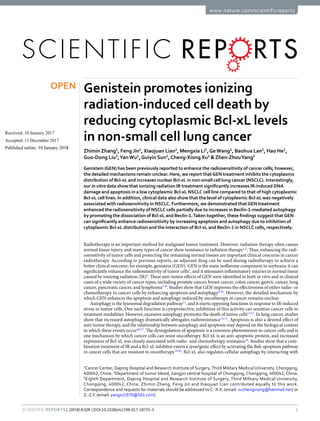 1
SCIEnTIfIC REPOrtS | (2018) 8:328 | DOI:10.1038/s41598-017-18755-3
www.nature.com/scientificreports
Genistein promotes ionizing
radiation-induced cell death by
reducing cytoplasmic Bcl-xL levels
in non-small cell lung cancer
Zhimin Zhang1
, Feng Jin1
, Xiaojuan Lian2
, Mengxia Li1
,GeWang1
, Baohua Lan1
, Hao He1
,
Guo-Dong Liu3
,YanWu1
,Guiyin Sun2
,Cheng-XiongXu1
& Zhen-ZhouYang1
Genistein (GEN) has been previously reported to enhance the radiosensitivity of cancer cells; however,
the detailed mechanisms remain unclear. Here, we report thatGEN treatment inhibits the cytoplasmic
distribution of Bcl-xL and increases nuclear Bcl-xL in non-small cell lung cancer (NSCLC). Interestingly,
our in vitro data show that ionizing radiation IR treatment significantly increases IR-induced DNA
damage and apoptosis in a low cytoplasmic Bcl-xL NSCLC cell line compared to that of high cytoplasmic
Bcl-xL cell lines. In addition, clinical data also show that the level of cytoplasmic Bcl-xL was negatively
associated with radiosensitivity in NSCLC. Furthermore, we demonstrated thatGEN treatment
enhanced the radiosensitivity of NSCLC cells partially due to increases in Beclin-1-mediated autophagy
by promoting the dissociation of Bcl-xL and Beclin-1.Taken together, these findings suggest thatGEN
can significantly enhance radiosensitivity by increasing apoptosis and autophagy due to inhibition of
cytoplasmic Bcl-xL distribution and the interaction of Bcl-xL and Beclin-1 in NSCLC cells, respectively.
Radiotherapy is an important method for malignant tumor treatment. However, radiation therapy often causes
normal tissue injury, and many types of cancer show resistance to radiation therapy1,2
. Thus, enhancing the radi-
osensitivity of tumor cells and protecting the remaining normal tissues are important clinical concerns in cancer
radiotherapy. According to previous reports, an adjuvant drug can be used during radiotherapy to achieve a
better clinical outcome, for example, genistein (GEN). GEN is the main isoflavone component in soybeans; it can
significantly enhance the radiosensitivity of tumor cells3
, and it attenuates inflammatory injuries in normal tissue
caused by ionizing radiation (IR)4
. These anti-tumor effects of GEN were identified in both in vitro and in clinical
cases of a wide variety of cancer types, including prostate cancer, breast cancer, colon cancer, gastric cancer, lung
cancer, pancreatic cancer, and lymphoma5–8
. Studies show that GEN improves the effectiveness of either radio- or
chemotherapy in cancer cells by enhancing apoptosis and autophagy9,10
. However, the detailed mechanism by
which GEN enhances the apoptosis and autophagy induced by oncotherapy in cancer remains unclear.
Autophagy is the lysosomal degradation pathway11
, and it exerts opposing functions in response to IR-induced
stress in tumor cells. One such function is cytoprotective; inhibition of this activity can sensitize cancer cells to
treatment modalities. However, excessive autophagy promotes the death of tumor cells12,13
. In lung cancer, studies
show that increased autophagy dramatically abrogates radioresistance14,15
. Apoptosis is also a desired effect of
anti-tumor therapy, and the relationship between autophagy and apoptosis may depend on the biological context
in which these events occur16,17
. The dysregulation of apoptosis is a common phenomenon in cancer cells and is
one mechanism by which cancer cells can resist oncotherapy. Bcl-xL is an anti-apoptotic protein, and increased
expression of Bcl-xL was closely associated with radio- and chemotherapy resistance18
. Studies show that a com-
bination treatment of IR and a Bcl-xL inhibitor exerts a synergistic effect by activating the Bak-apoptosis pathway
in cancer cells that are resistant to oncotherapy19,20
. Bcl-xL also regulates cellular autophagy by interacting with
1
Cancer Center, Daping Hospital and Research Institute of Surgery, Third Military Medical University, Chongqing,
400042, China. 2
Department of tumor blood, Jiangjin central hospital of Chongqing, Chongqing, 400042, China.
3
Eighth Department, Daping Hospital and Research Institute of Surgery, Third Military Medical University,
Chongqing, 400042, China. Zhimin Zhang, Feng Jin and Xiaojuan Lian contributed equally to this work.
Correspondence and requests for materials should be addressed to C.-X.X. (email: xuchengxiong@hanmail.net) or
Z.-Z.Y. (email: yangzz1970@163.com)
Received: 10 January 2017
Accepted: 11 December 2017
Published: xx xx xxxx
OPEN
 
