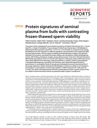 1
Vol.:(0123456789)
Scientific Reports | (2020) 10:14661 | https://doi.org/10.1038/s41598-020-71015-9
www.nature.com/scientificreports
Protein signatures of seminal
plasma from bulls with contrasting
frozen‑thawed sperm viability
Fabio P. Gomes1
, Robin Park1
, Arabela G.Viana2
, Carolina Fernandez‑Costa1
, Einko Topper3
,
Abdullah Kaya4
, Erdogan Memili5
, John R.Yates III1*
& Arlindo A. Moura6*
The present study investigated the seminal plasma proteome of Holstein bulls with low (LF; n=6) and
high (HF; n=8) sperm freezability.The percentage of viable frozen-thawed sperm (%ViableSperm)
determined by flow cytometry varied from -2.2 in LF to+7.8 in HF bulls, as compared to the average
%ViableSperm (54.7%) measured in an 860-sire population. Seminal proteins were analyzed by label
free mass spectrometry, with the support of statistical and bioinformatics analyses.This approach
identified 1,445 proteins, associated with protein folding, cell–cell adhesion, NADH dehydrogenase
activity, ATP-binding, proteasome complex, among other processes.There were 338 seminal proteins
differentially expressed (p<0.05) in LF and HF bulls. Based on multivariate analysis, BSP5 and seminal
ribonuclease defined the HF phenotype, while spermadhesin-1, gelsolin, tubulins, glyceraldehyde-
3-phosphate dehydrogenase, calmodulin, ATP synthase, sperm equatorial segment protein 1,
peroxiredoxin-5, secretoglobin family 1D and glucose-6-phosphate isomerase characterized the LF
phenotype. Regression models indicated that %ViableSperm of bulls was related to seminal plasma
peroxiredoxin-5, spermadhesin-1 and the spermadhesin-1×BSP5 interaction ­
(R2
=0.84 and 0.79;
p<0.05).This report is the largest dataset of bovine seminal plasma proteins. Specific proteins of the
non-cellular microenvironment of semen are potential markers of sperm cryotolerance.
Sperm cryopreservation, artificial insemination (AI) and in vitro fertilization followed by embryo transfer are
among the most used assisted reproductive technologies (ARTs), allowing genetic selection of farm ­
animals1
,
conservation of wild and endangered ­
species2
, successful pregnancies for infertile ­
couples3
and preservation of
fertility in cancer ­
patients4
. Successful implementation of ARTs depends on cost-effective and efficient cryo-
preservation of sperm cells. Cryopreservation protocols include the dilution of fresh semen with extender con-
taining cryoprotectants, buffers and antibiotics, followed by freezing in liquid nitrogen. Freezing and thawing
semen interferes with the structure of the sperm membranes, alters functions of membrane proteins and ion
channels, causes premature capacitation and acrosome reaction and yields excessive reactive oxygen ­
species5
.
Additionally, cryopreservation reduces both sperm metabolism and mitochondrial activity and alters sperm
chromatin ­structure6
. All these effects result in lower motility and fertilizing capacity of frozen-thawed sperm
when compared to untreated cells.
Despite substantial improvements of protocols for cryopreservation of sperm and development of new extend-
ers, it is currently accepted that 40 to 50% of sperm are incapable of proper fertilization after freezing and
­thawing1
. Studies indicate that certain males with nearly identical sperm parameters measured in fresh ejaculates
present contrasting sperm viability after ­
cryopreservation7
and some bulls with high reproductive performance
in natural mating have poor semen ­
freezability8
. Ejaculates have subpopulations of spermatozoa that differ in
motility and fertilizing capacity, and these attributes are unique to each ­
sire9
. Aspects of sperm morphology and
physiology are defined during spermatogenesis, epididymal maturation and during post-ejaculation events,
influencing fertility of each male. Thus, it is not surprising that pronounced differences exist among individuals
regarding sperm´s ability to survive the stress of cryopreservation.
In mammalian species, seminal plasma is mainly composed of secretions of the testes, epididymides and
accessory sex glands. The fluid bathing sperm cells in semen contains proteins that participate in sperm metabo-
lism and motility, membrane remodeling and function, protection against reactive oxygen species and immune
OPEN
1
The Scripps Research Institute, La Jolla, CA, USA. 2
Federal University of Viçosa, Viçosa, MG, Brazil. 3
Alta
Genetics Inc., Madison, WI, USA. 4
Selcuk University, Konya, Turkey. 5
Mississippi State University, Starkville, MS,
USA. 6
Federal University of Ceará, Fortaleza, CE, Brazil.*
email: jyates@scripps.edu; arlindo.moura@gmail.com
 