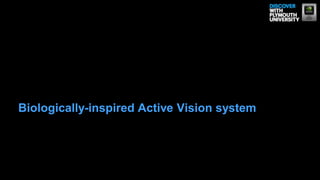 Biologically-inspired Active Vision system
 