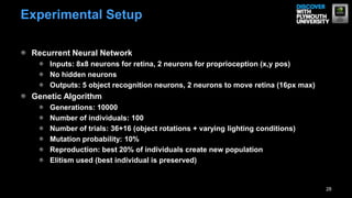 28
Experimental Setup
Recurrent Neural Network
Inputs: 8x8 neurons for retina, 2 neurons for proprioception (x,y pos)
No hidden neurons
Outputs: 5 object recognition neurons, 2 neurons to move retina (16px max)
Genetic Algorithm
Generations: 10000
Number of individuals: 100
Number of trials: 36+16 (object rotations + varying lighting conditions)
Mutation probability: 10%
Reproduction: best 20% of individuals create new population
Elitism used (best individual is preserved)
 