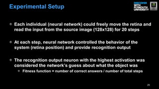 29
Experimental Setup
Each individual (neural network) could freely move the retina and
read the input from the source image (128x128) for 20 steps
At each step, neural network controlled the behavior of the
system (retina position) and provide recognition output
The recognition output neuron with the highest activation was
considered the network’s guess about what the object was
Fitness function = number of correct answers / number of total steps
 