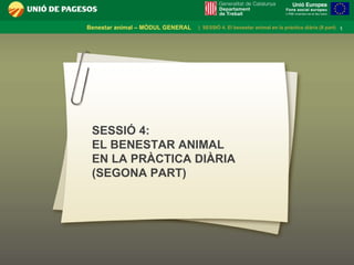 SESSIÓ 4: EL BENESTAR ANIMAL EN LA PRÀCTICA DIÀRIA (SEGONA PART) 