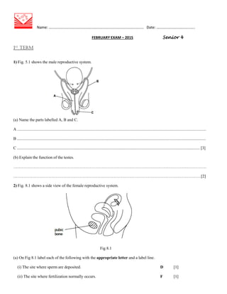 Name: ……………………………………………………………………………………….. Date: …………………………………..
FEBRUARY EXAM – 2015 Senior 4
1st
TERM
1) Fig. 5.1 shows the male reproductive system.
(a) Name the parts labelled A, B and C.
A .........................................................................................................................................................................................
B .........................................................................................................................................................................................
C ................................................................................................................................................................................... [3]
(b) Explain the function of the testes.
…………………………………………………………………………………………………………………………….
…………………………………………………………………………………………………………………………[2]
2) Fig. 8.1 shows a side view of the female reproductive system.
Fig 8.1
(a) On Fig 8.1 label each of the following with the appropriate letter and a label line.
(i) The site where sperm are deposited. D [1]
(ii) The site where fertilization normally occurs. F [1]
 