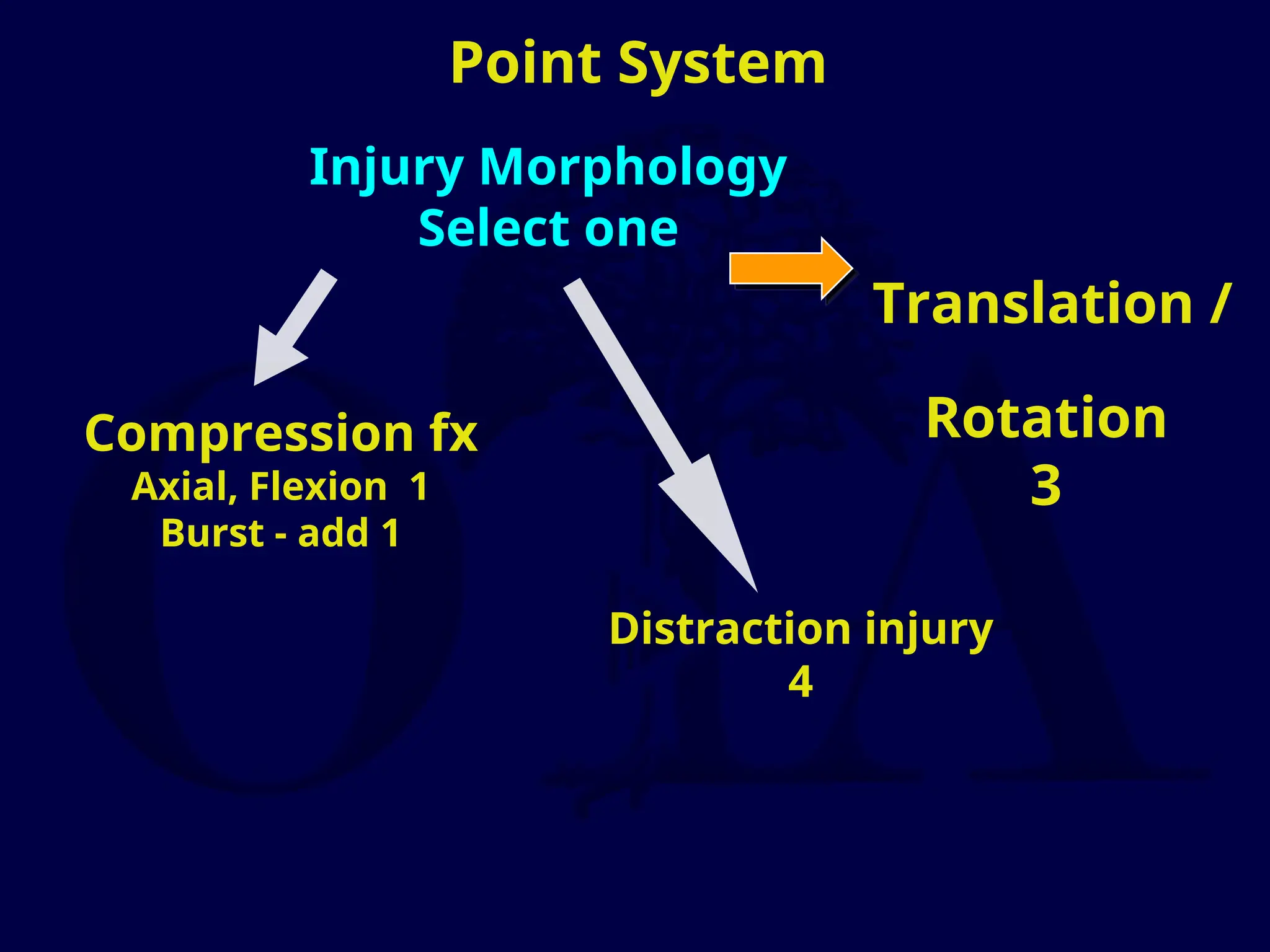 Point System
Compression fx
Axial, Flexion 1
Burst - add 1
Distraction injury
4
Translation /
Rotation
3
Injury Morphology
Select one
 