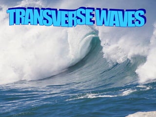 TRANSVERSE WAVES 