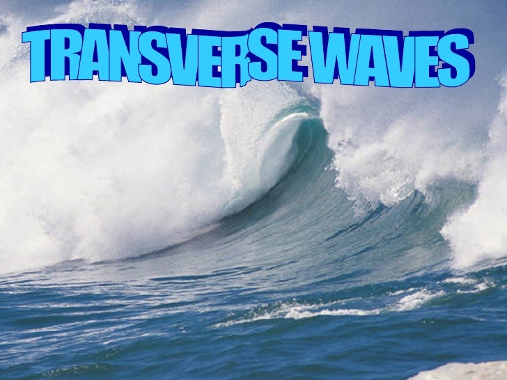S4 E Phy Waves(Tranverse)(T)