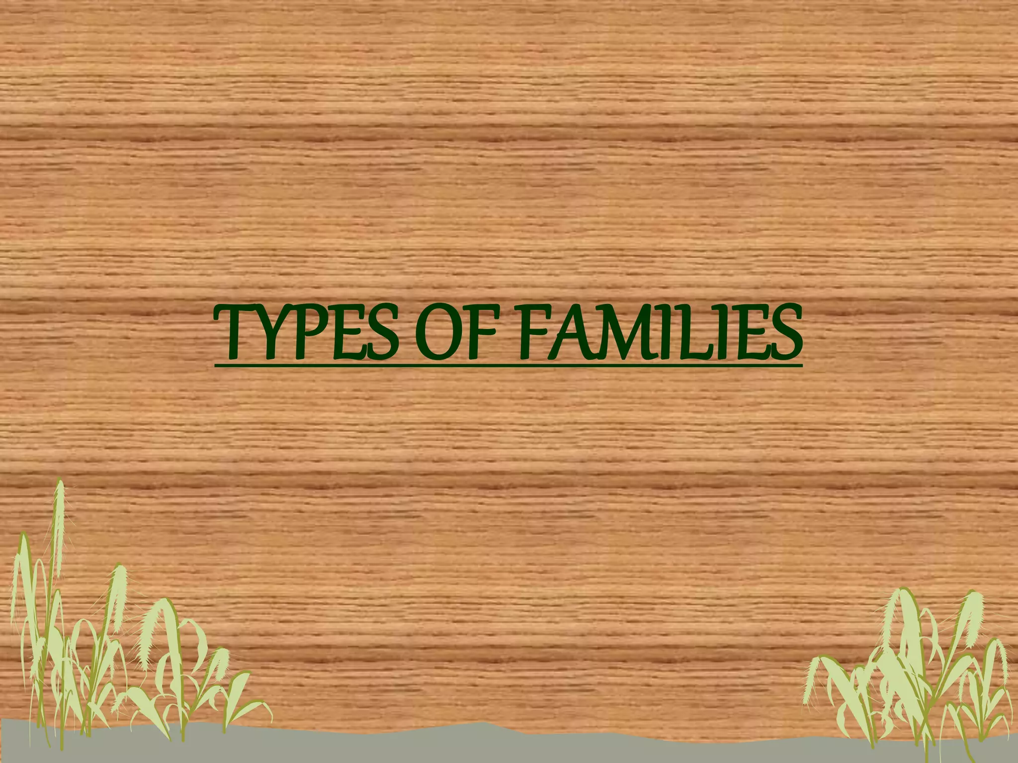 TYPES OF FAMILIES
 