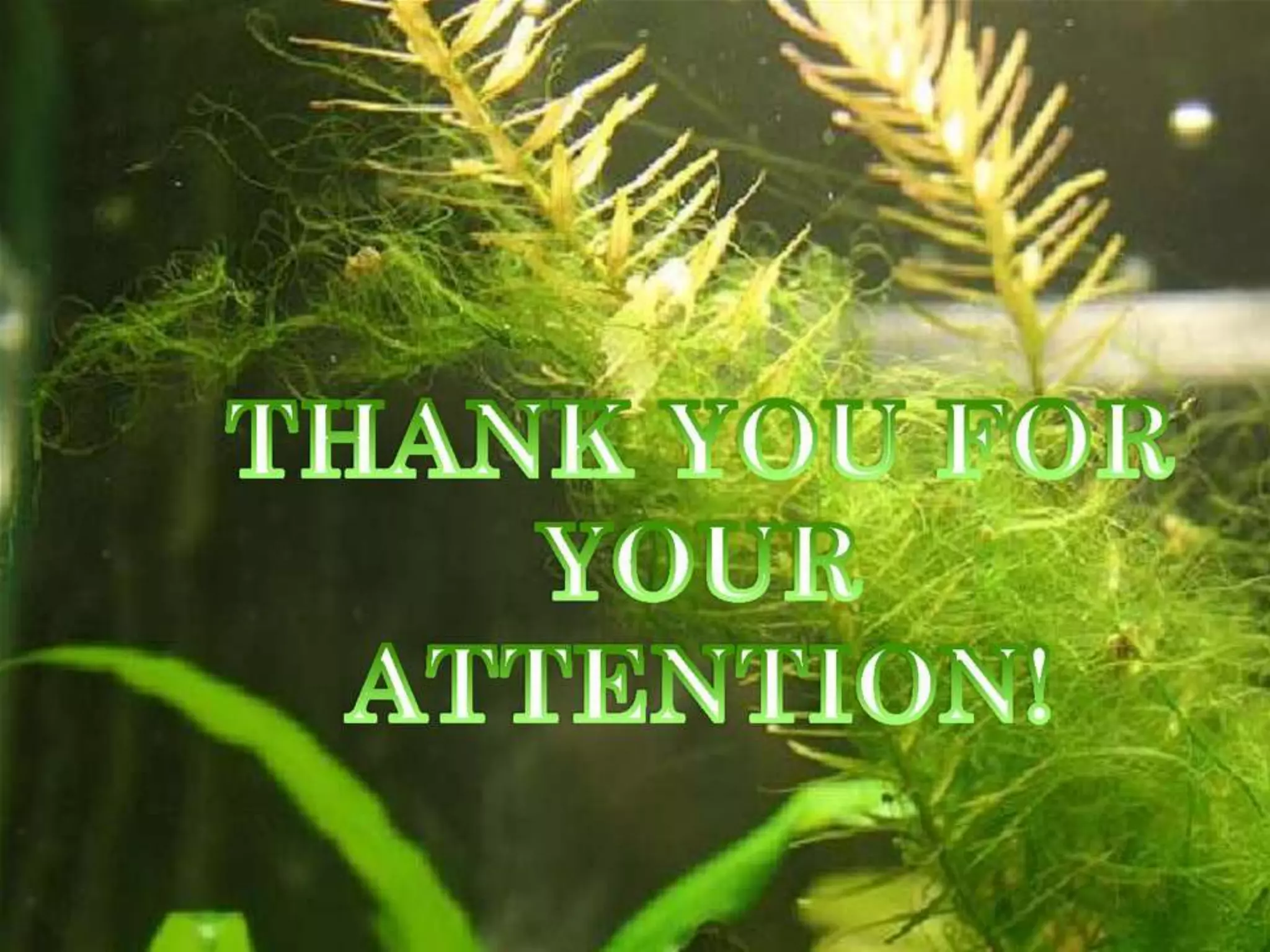 Family: Definition, Changing trends in family structure, Types of families, Characteristics of Indian families- family strength