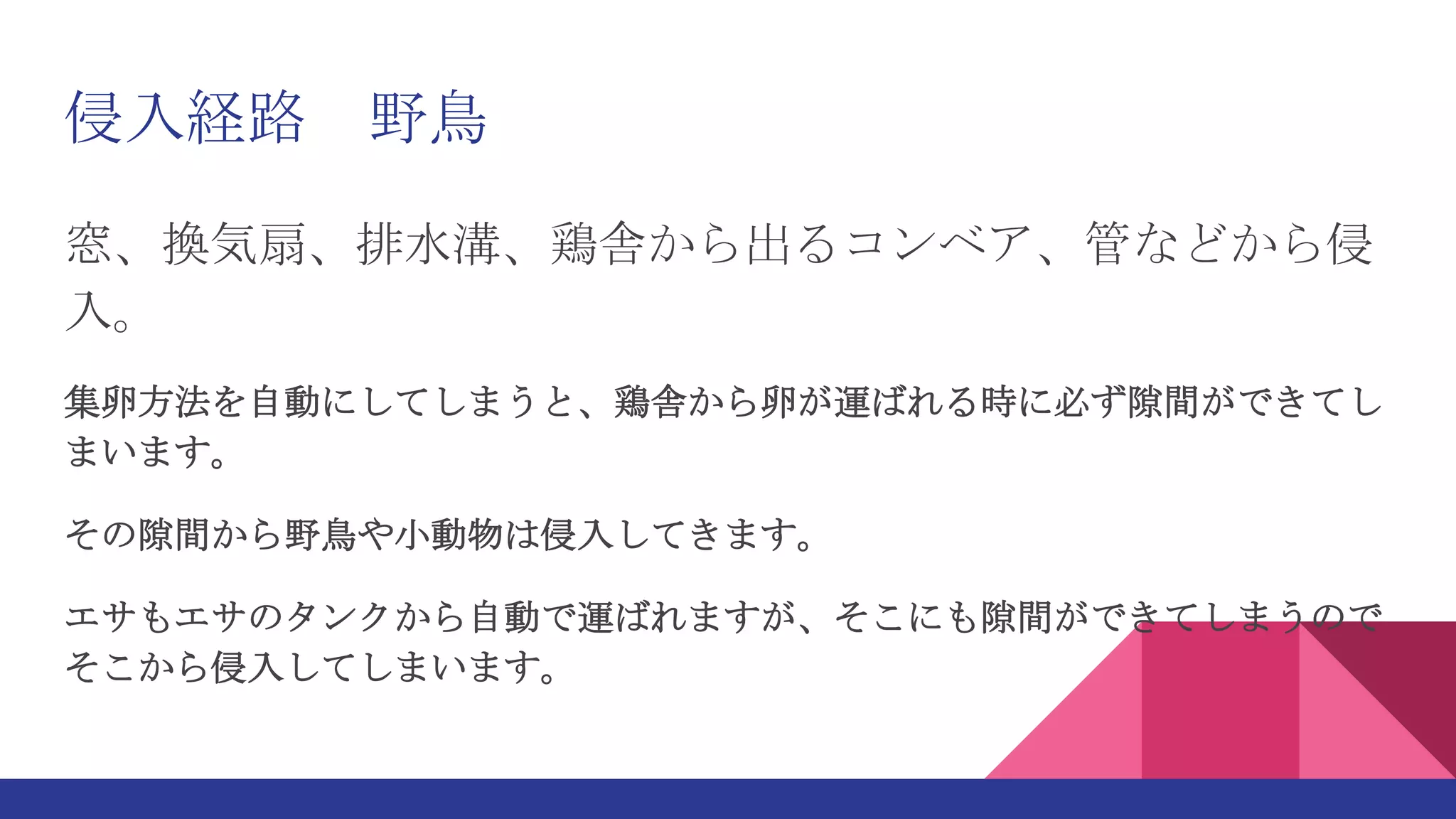 侵入経路 野鳥
窓、換気扇、排水溝、鶏舎から出るコンベア、管などから侵
入。
集卵方法を自動にしてしまうと、鶏舎から卵が運ばれる時に必ず隙間ができてし
まいます。
その隙間から野鳥や小動物は侵入してきます。
エサもエサのタンクから自動で運ばれますが、そこにも隙間ができてしまうので
そこから侵入してしまいます。
 