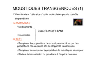 MOUSTIQUES TRANSGENIQUES (1)
Pionnier dans l’utilisation d’outils moléculaires pour le contrôle
du paludisme
POURQUOI ?
Médicaments
ENCORE INSUFFISANT
Insecticides
BUT :
Remplacer les populations de moustiques vectrices par des
populations non vectrices afin de stopper la transmission.
Remplacer ou supprimer la population de moustiques sauvages
Réduire la transmission du paludisme à l’espèce humaine
 