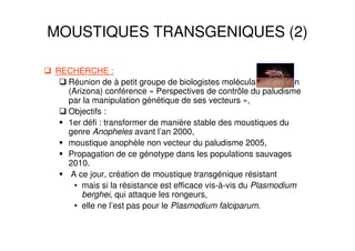 MOUSTIQUES TRANSGENIQUES (2)
RECHERCHE :
Réunion de à petit groupe de biologistes moléculaires Tucson
(Arizona) conférence « Perspectives de contrôle du paludisme
par la manipulation génétique de ses vecteurs »,
Objectifs :
1er défi : transformer de manière stable des moustiques du
genre Anopheles avant l’an 2000,
moustique anophèle non vecteur du paludisme 2005,
Propagation de ce génotype dans les populations sauvages
2010.
A ce jour, création de moustique transgénique résistant
• mais si la résistance est efficace vis-à-vis du Plasmodium
berghei, qui attaque les rongeurs,
• elle ne l’est pas pour le Plasmodium falciparum.
 