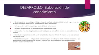 DESARROLLO. Elaboración del
conocimiento.
 Con anticipación se les pide traigan un dibujo o imagen de una fruta, verdura, cereal o alimento de origen animal. (se
les asigna uno para no repetir) con una breve explicación de sus características.
 Se les presenta una lámina o una imagen grande del planto del bien comer.
 Se explica la clasificación de los alimentos utilizando el plato del bien comer.
 Se les explica a los niños el significado de los colores del plato, así como la forma en como los colores determinan el
consumo.
 Después de la explicación se les pide que de forma individual ubiquen el alimento ( la imagen) que les tocó dentro del
plato del bien comer.
• Nos trasladamos al patio o a un lugar abierto en donde con gises van a dibujar un círculo dividido en cinco partes ( igual
al plato del bien comer) con los títulos de verduras y frutas con color verde, cereales con naranja y leguminosas y
alimentos de origen animal con café.
 