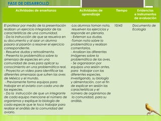 FASE DE DESARROLLO
Actividades de enseñanza Actividades de
aprendizaje
Tiempo Evidencias
e instrumentos
de evaluación
El profesor por medio de la presentación
realizan un ejercicio integrador de las
características de una comunidad.
- Da la instrucción de que se resuelva en
su documento y al azar un alumno
pasara al pizarrón a resolver el ejercicio
correspondiente.
- Resuelve dudas y retroalimenta.
- Presenta la problemática sobre la
amenaza de especies en una
comunidad de aves para aplicar su
conocimiento en una problemática real.
- Proyecta un video para identificar las
diferentes amenazas que sufren las aves
de México y el mundo.
- Previamente formo equipos para
trabajar en el aviario con cada una de
las especies.
- Da la instrucción de que un integrante
de cada equipo mencione el número de
organismos y explique la biología de
cada especie que le toco trabajar para
realizar el análisis de la comunidad del
aviario.
-Los alumnos toman nota,
resuelven los ejercicios y
responde en plenaria.
- Externan sus dudas.
-Toman nota sobre la
problemática y realizan
comentarios.
- Analizan las diferentes
imágenes sobre la
problemática de las aves.
- Se organizaron por
equipos una sesión antes,
para trabajar con las
diferentes especies,
investigando, su biología
y alimentación, con el fin
de explicar en sesión las
características y el
número de organismos de
la comunidad, para su
análisis.
 
 
10/45
 
Documento de
Ecología
 