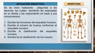 SITUACIÓN DIDÁCTICA
Se da inicio realizando preguntas a los
alumnos, los cuales escribirán las respuestas
en su libreta y las responderán en base a sus
conocimientos.
1. Escribe las funciones del esqueleto humano.
2. Escribe el número de huesos conforman el
esqueleto humano.
3. Escribe la clasificación del esqueleto
humano.
4. Escribe los la clasificación de los huesos.
APERTURA
 