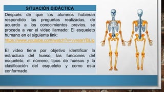 SITUACIÓN DIDÁCTICA
Después de que los alumnos hubieran
respondido las preguntas realizadas, de
acuerdo a los conocimientos previos, se
procede a ver el video llamado: El esqueleto
humano en el siguiente link:
https://www.youtube.com/watch?v=vvreteYBLig
El video tiene por objetivo identificar la
estructura del hueso, las funciones del
esqueleto, el número, tipos de huesos y la
clasificación del esqueleto y como esta
conformado.
 