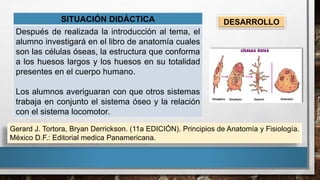 DESARROLLOSITUACIÓN DIDÁCTICA
Después de realizada la introducción al tema, el
alumno investigará en el libro de anatomía cuales
son las células óseas, la estructura que conforma
a los huesos largos y los huesos en su totalidad
presentes en el cuerpo humano.
Los alumnos averiguaran con que otros sistemas
trabaja en conjunto el sistema óseo y la relación
con el sistema locomotor.
Gerard J. Tortora, Bryan Derrickson. (11a EDICIÓN). Principios de Anatomía y Fisiología.
México D.F.: Editorial medica Panamericana.
 