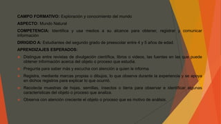 CAMPO FORMATIVO: Exploración y conocimiento del mundo
ASPECTO: Mundo Natural
COMPETENCIA: Identifica y usa medios a su alcance para obtener, registrar y comunicar
información
DIRIGIDO A: Estudiantes del segundo grado de preescolar entre 4 y 5 años de edad.
APRENDIZAJES ESPERADOS:
 Distingue entre revistas de divulgación científica, libros o videos, las fuentes en las que puede
obtener información acerca del objeto o proceso que estudia.
 Pregunta para saber más y escucha con atención a quien le informa.
 Registra, mediante marcas propias o dibujos, lo que observa durante la experiencia y se apoya
en dichos registros para explicar lo que ocurrió.
 Recolecta muestras de hojas, semillas, insectos o tierra para observar e identificar algunas
características del objeto o proceso que analiza.
 Observa con atención creciente el objeto o proceso que es motivo de análisis.
 