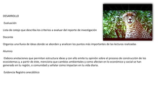 DESARROLLO
Evaluación
Lista de cotejo que describa los criterios a evaluar del reporte de investigación
Docente
Organiza una lluvia de ideas donde se aborden y analicen los puntos más importantes de las lecturas realizadas
Alumno
Elabora anotaciones que permitan estructura ideas y con ello emite tu opinión sobre el proceso de construcción de los
ecosistemas y, a partir de éste, menciona que cambios ambientales y como afectan en lo económico y social se han
generado en tu región, o comunidad y señalar como impactan en tu vida diaria.
Evidencia Registro anecdótico
 