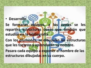 • Desarrollo
Se formaran equipos, a los cuales se les
repartirá estructuras óseas que tendrán que
estudiar en la bibliografía
Con los plumones, se dibujaran las estructuras
que les tocaron y aprenderán su nombre.
Pasara cada equipo a exponer el nombre de las
estructuras dibujadas en su cuerpo.
 