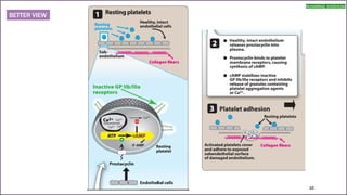 anticoagulants and antiplatelet agents | PDF