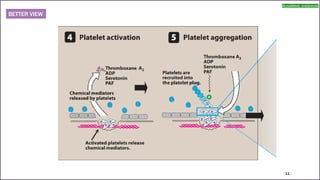 anticoagulants and antiplatelet agents | PDF