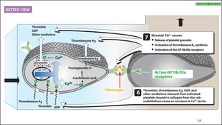 anticoagulants and antiplatelet agents | PDF