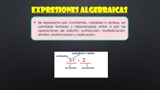  Se representa por constantes, variables o ambas, en
cantidad limitada y relacionadas entre sí por las
operaciones de adición, sustracción, multiplicación,
división, potenciación y radicación.
EXPRESIONES ALGEBRAICAS
 